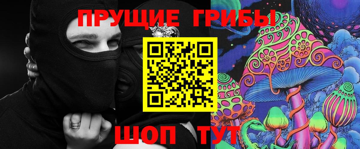 Костомукша  Галлюциногенные грибы MAGIC MUSHROOMS  Вход с VPN 