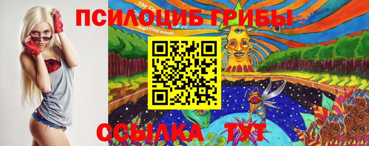 Галлюциногенные грибы прущие грибы Костомукша
